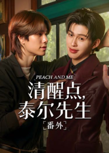 清醒点 泰尔先生番外篇(全集)