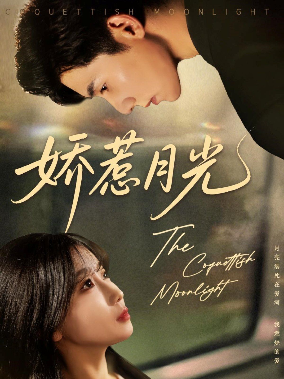 娇惹月光(全集)