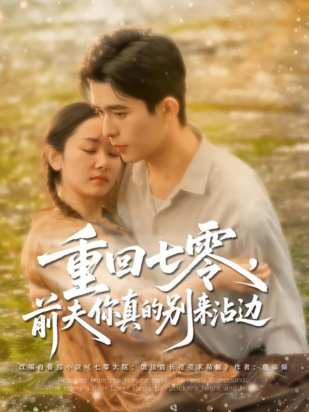 重回七零前夫你真的别来沾边(全集)