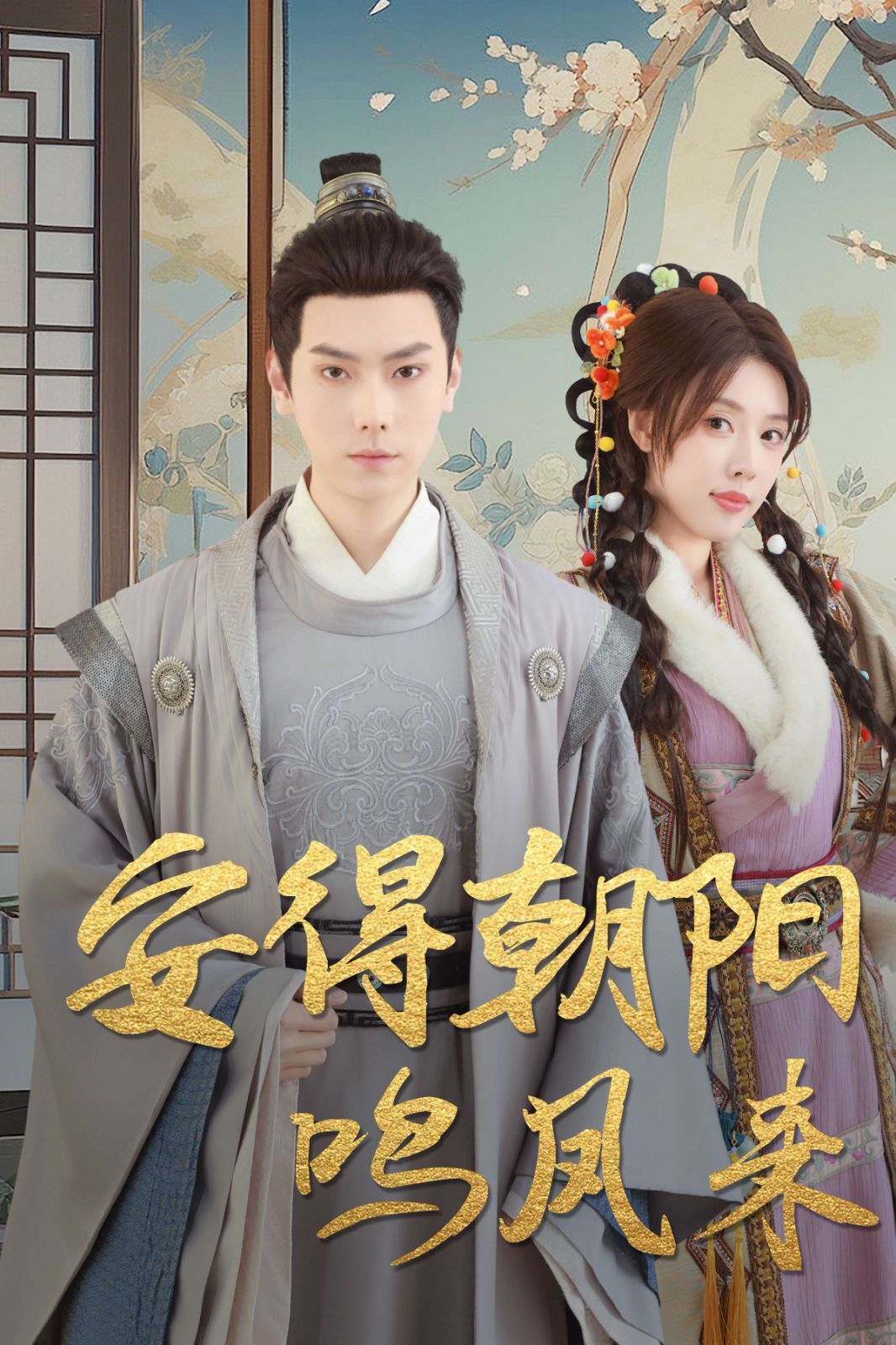 安得朝阳鸣凤来第1-20集