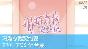 闪婚总裁契约妻(全集)
