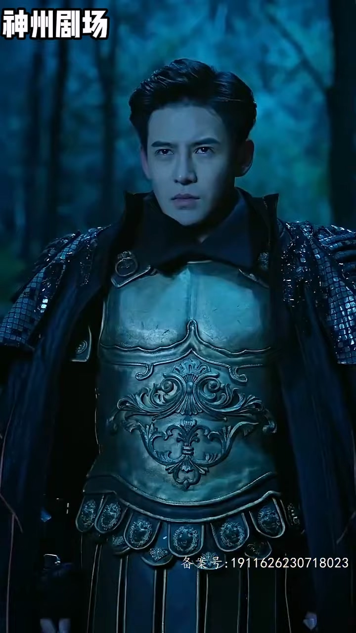 少帅临门第1-40集