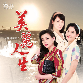 美丽人生台版第96集